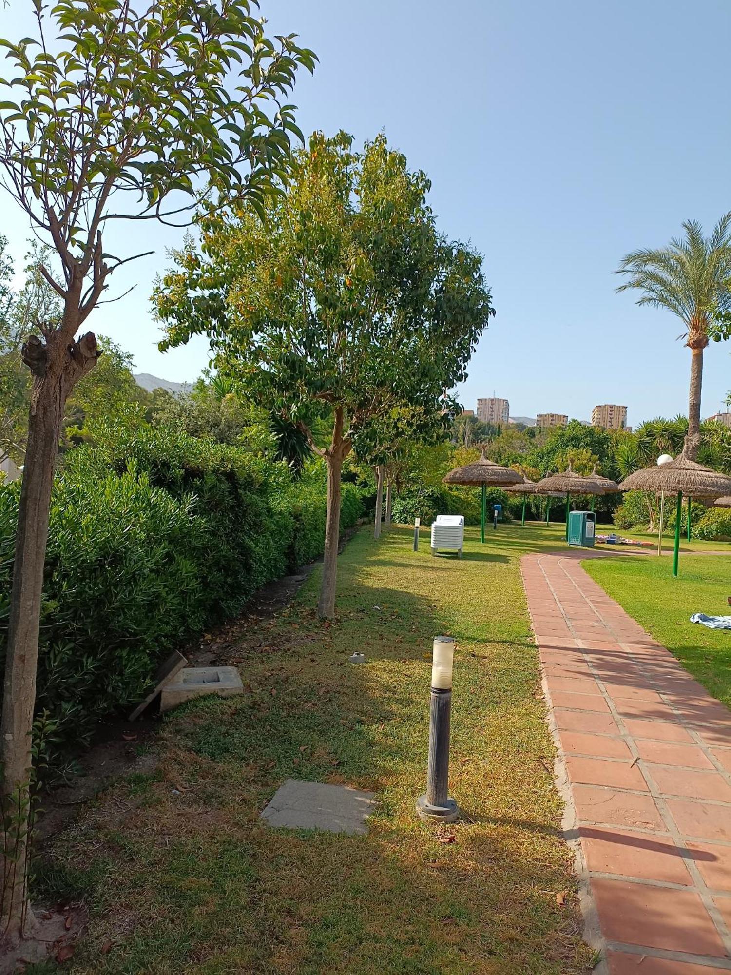 Apartamento Estudio Con Vistas En Primera Linea De Playa